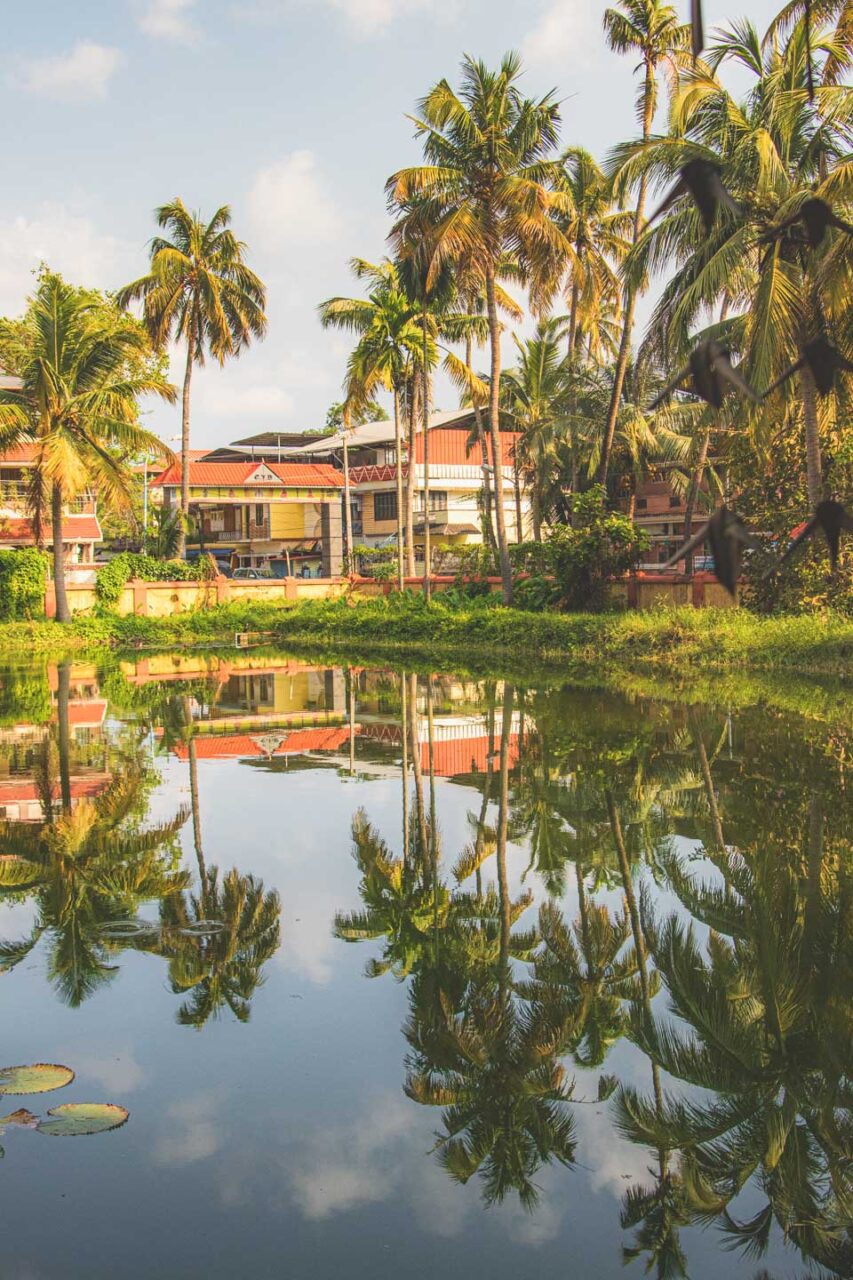 Silence and palm reflections - a moment of peace in the heart of Kochi