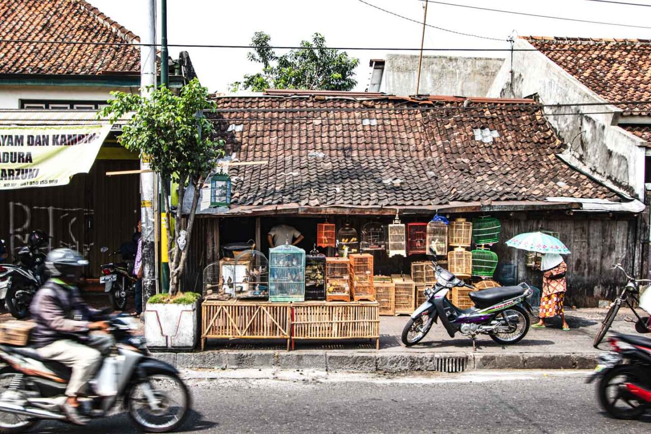 Yogyakarta: Co Zobaczyć w Jeden Dzień? Praktyczny Przewodnik