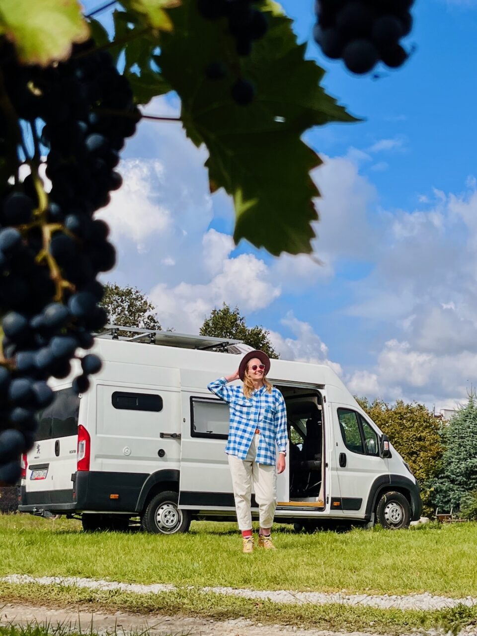 Kobieta przy kampervanie na tle winnicy, winogrona w pierwszym planie