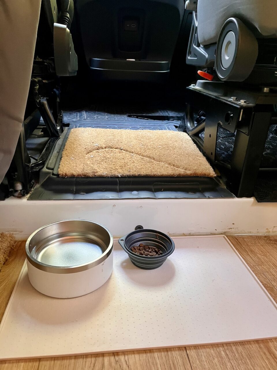 It's easy to get dehydrated in a van, so keep water available for your cat!