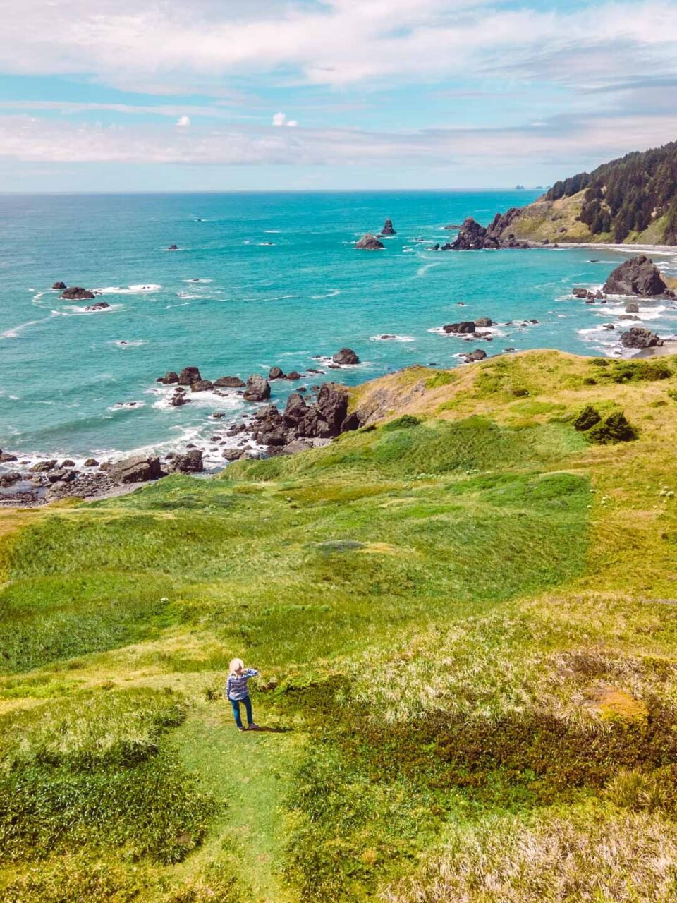 Cape Ferrelo Viewpoint, Oregon