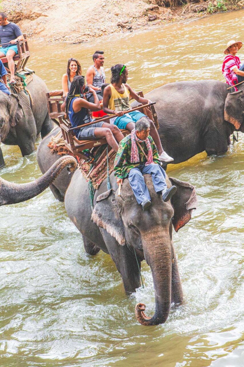 Elephant Riding Thailand: Truth Nobody Told Me [2025]