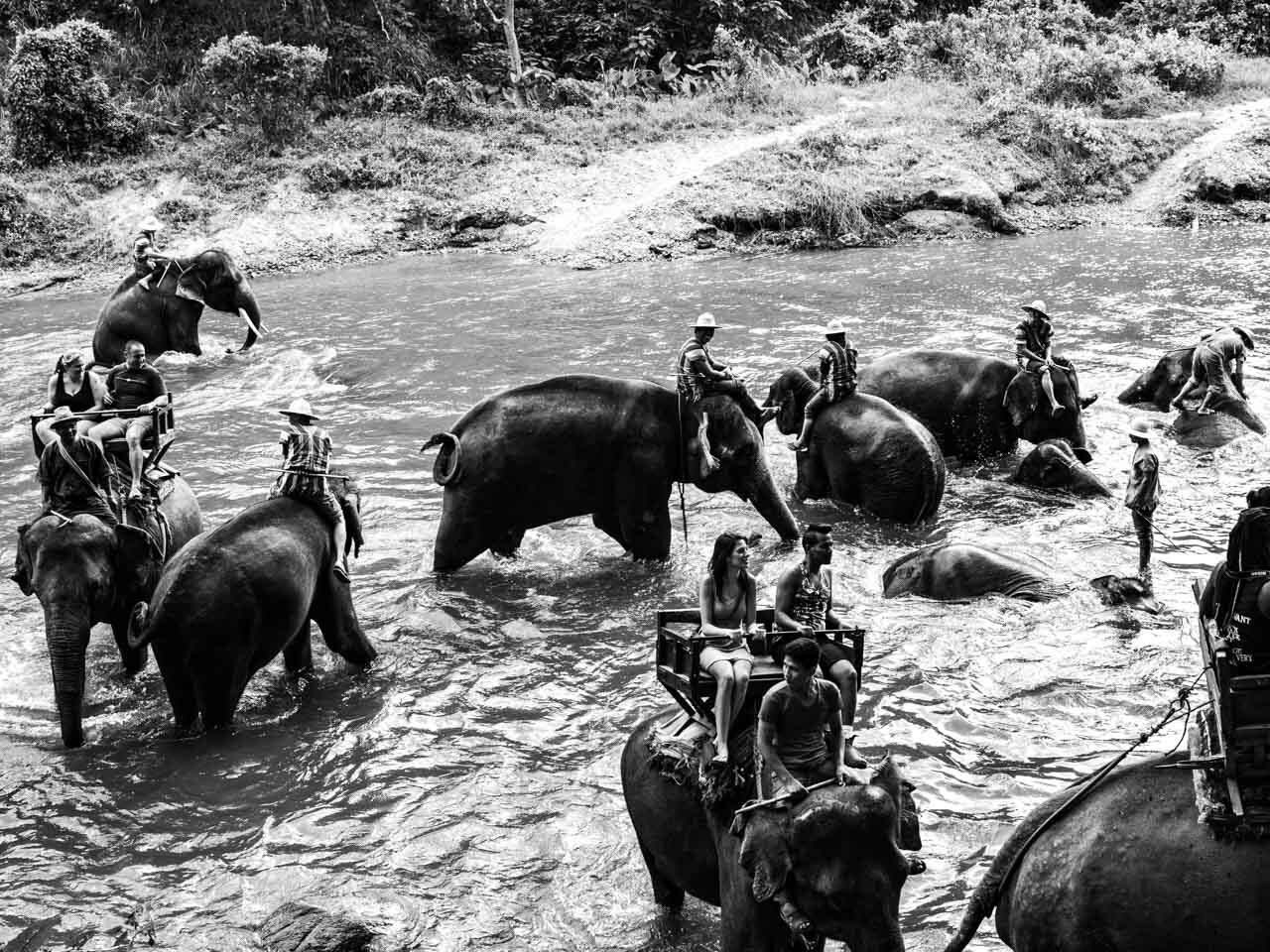 elephant-riding-thailand-truth