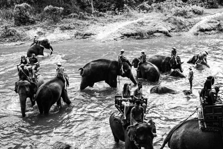 elephant-riding-thailand-truth