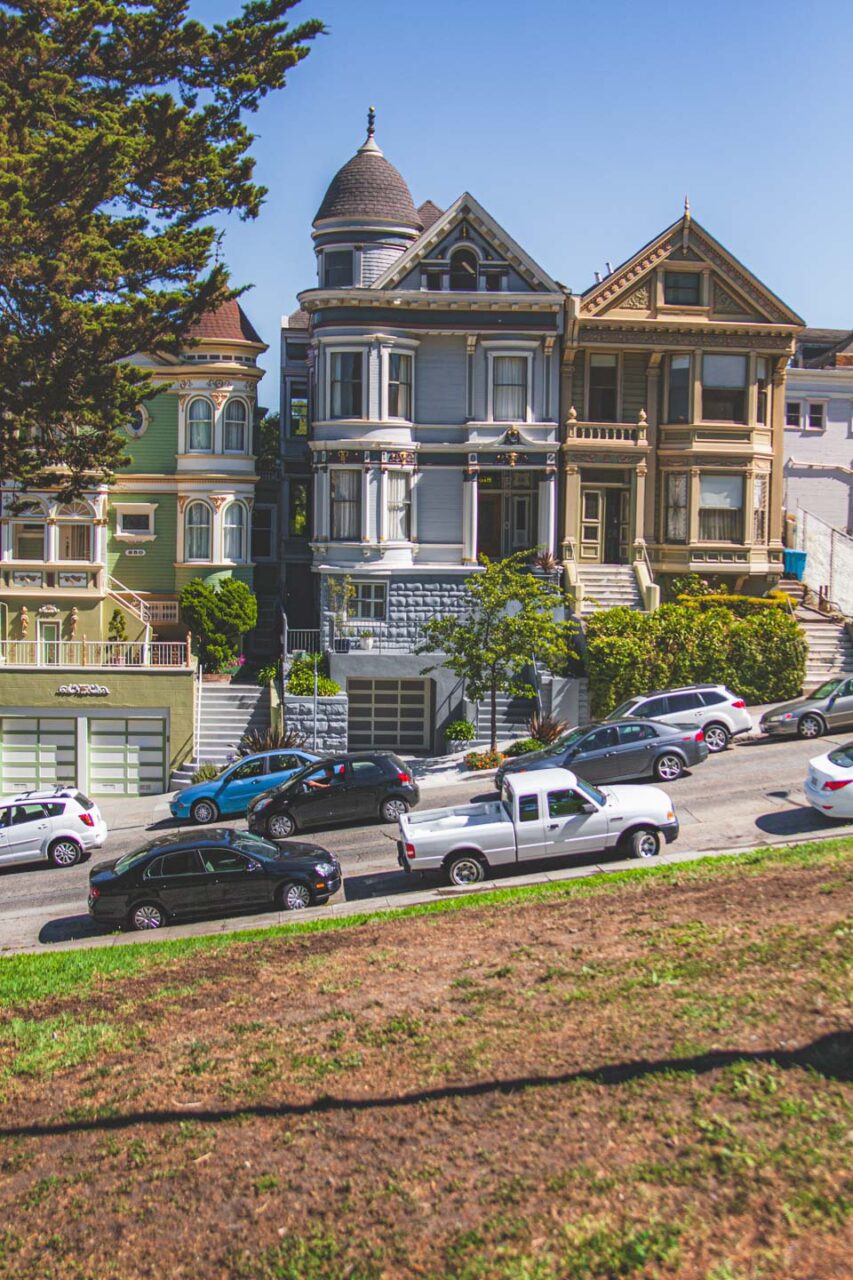 San Francisco w Jeden Dzień - Painted Ladies