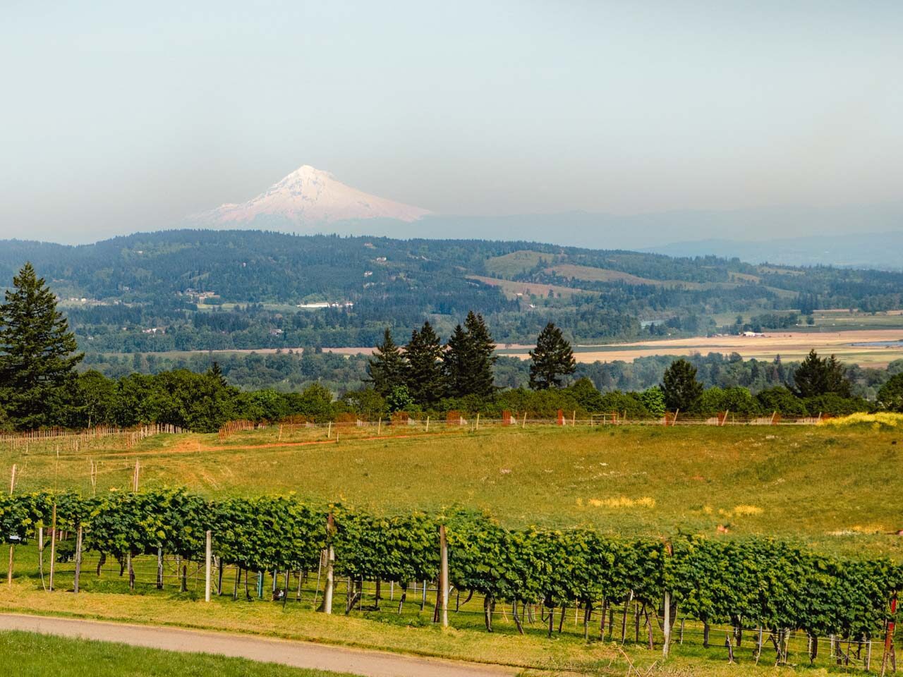 Wineries in the Willamette Valley