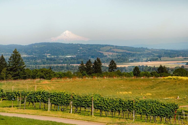 Wineries in the Willamette Valley