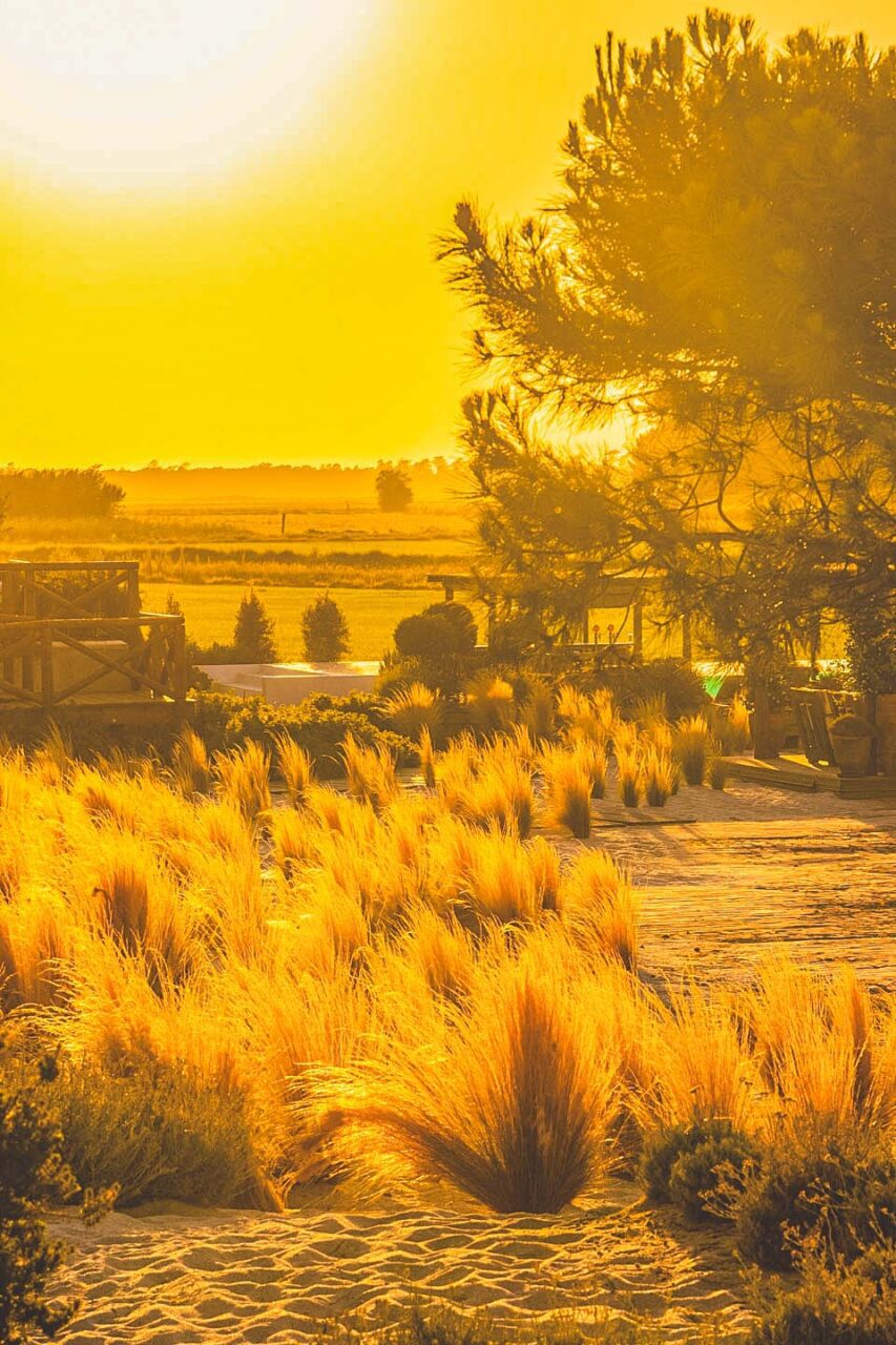 Is Quinta da Comporta Worth Visiting? Honest Slow-Life Getaway Review