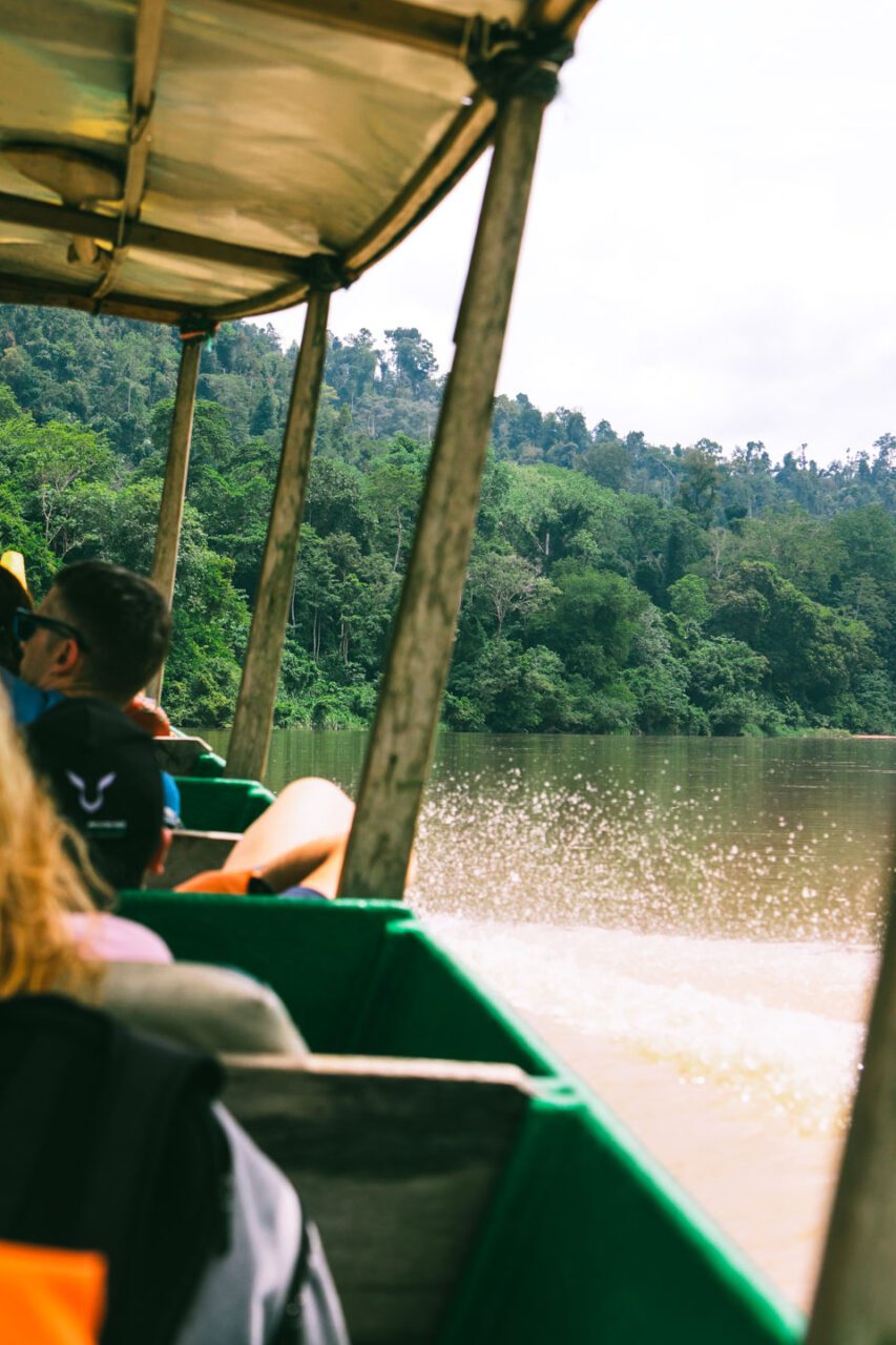 River rapids, Taman Negara, Malaysia