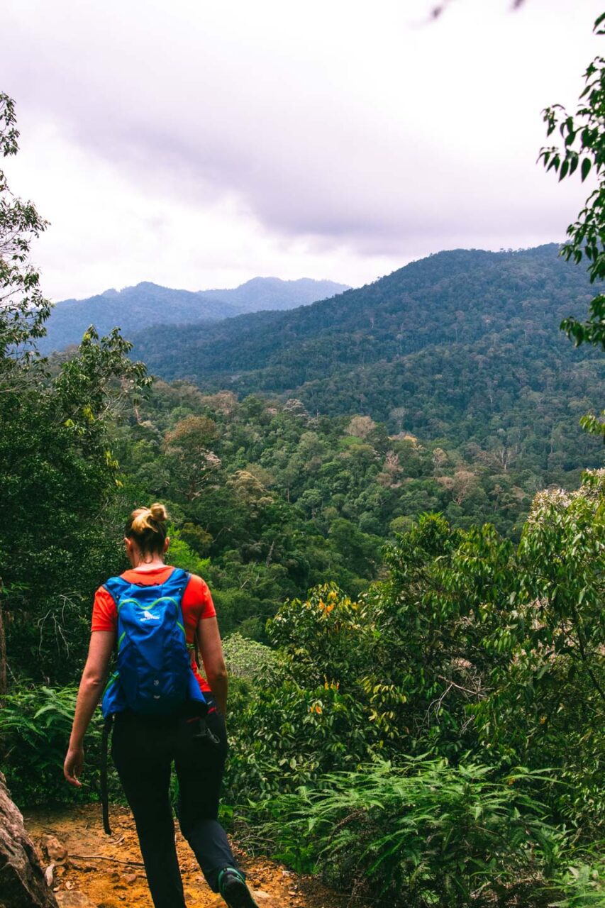 Junlge trekking, Taman Negara, Malaysia