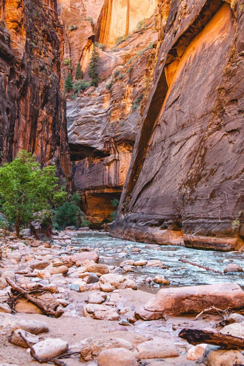 The Narrows - one of those trails you feel, not just walk through