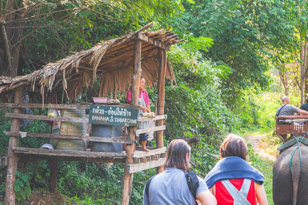 Uśmiech i cukierki na sprzedaż. Ta trasa jest dokładnie zaplanowana - dla słonia i dla Twojego portfela