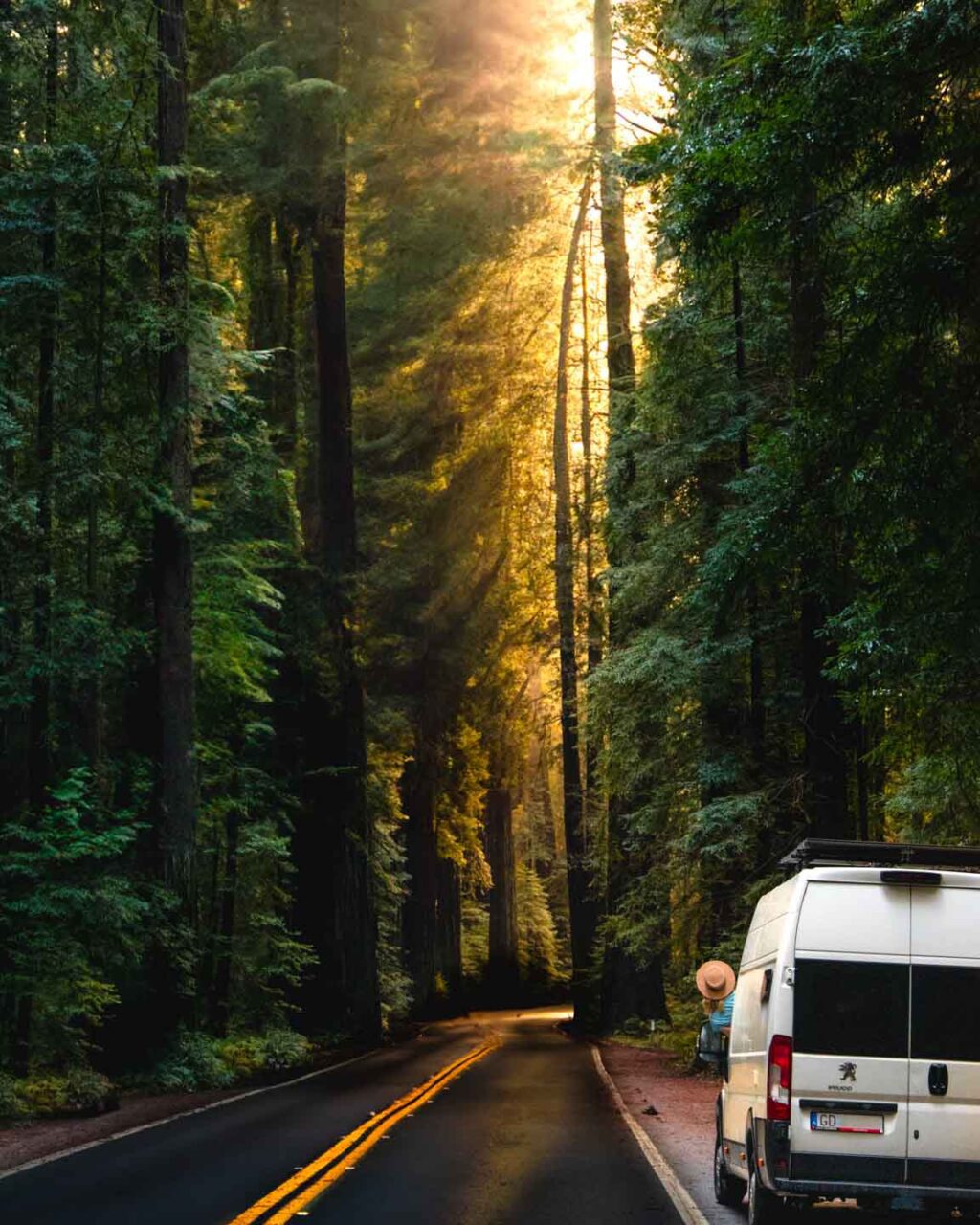 A campervan on a forest road during a van-life journey.