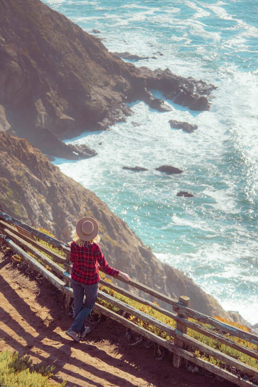 Point Reyes National Seashore is an ideal place to spot wildlife