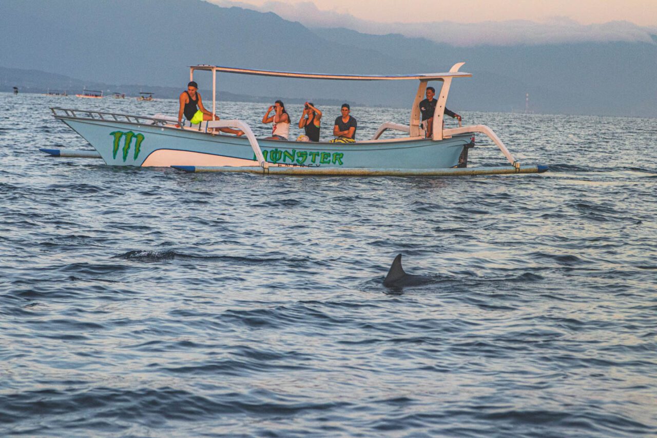 A moment of magic? Or a chase that only seemed innocent to us