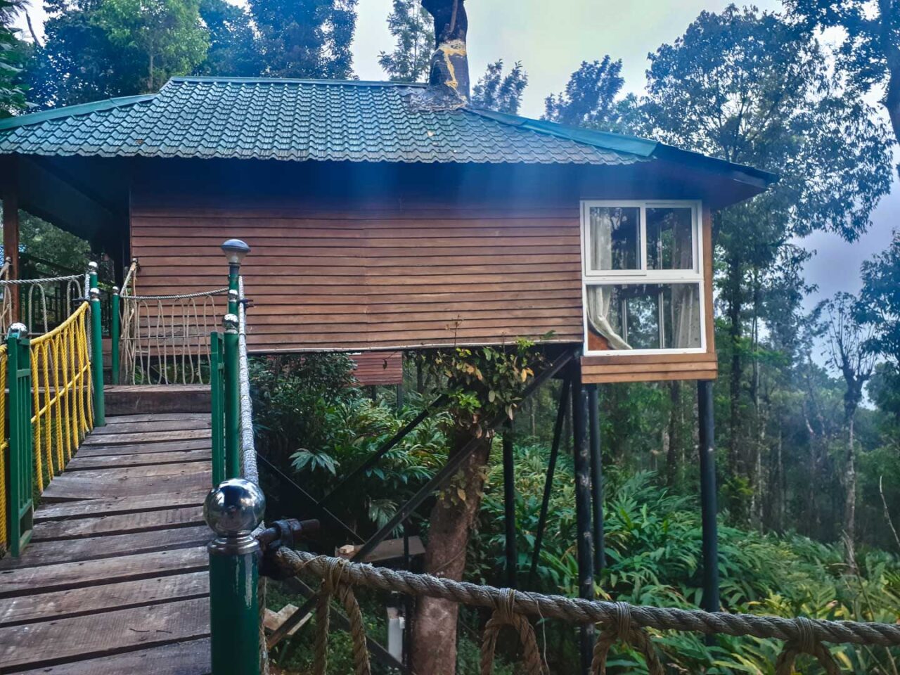 Morning in a treehouse, where the mist tapped on the window and the silence smelled of cardamom.