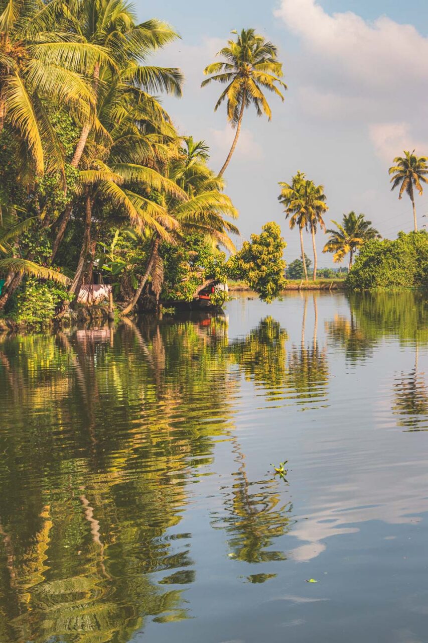 Palmy odbijające się w wodach kanałów w Alleppey – spokojna chwila w sercu keralskich backwaters.