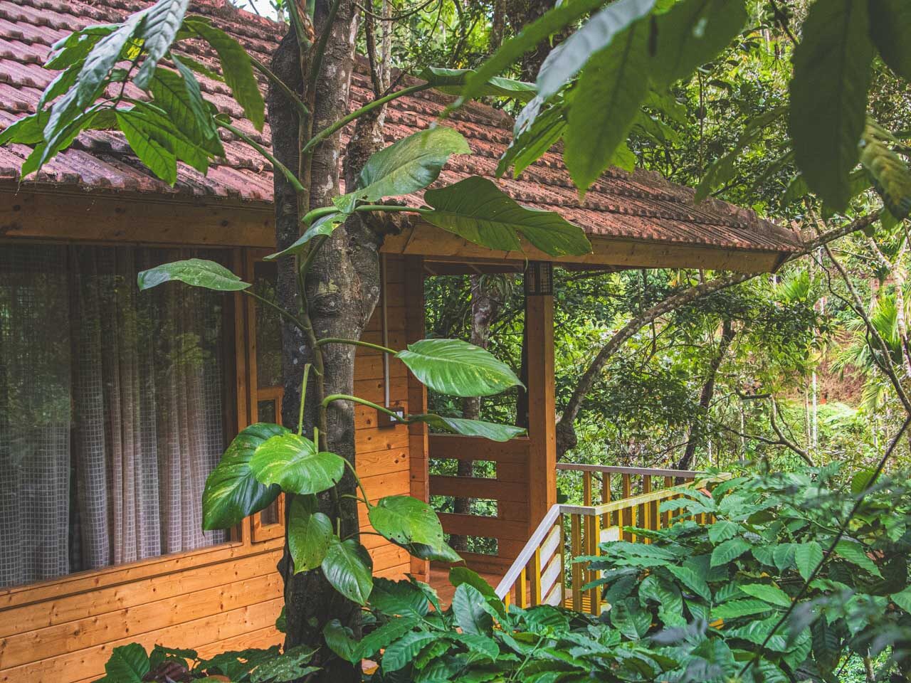 wayanad-kerala-safari-domek-na-drzewie