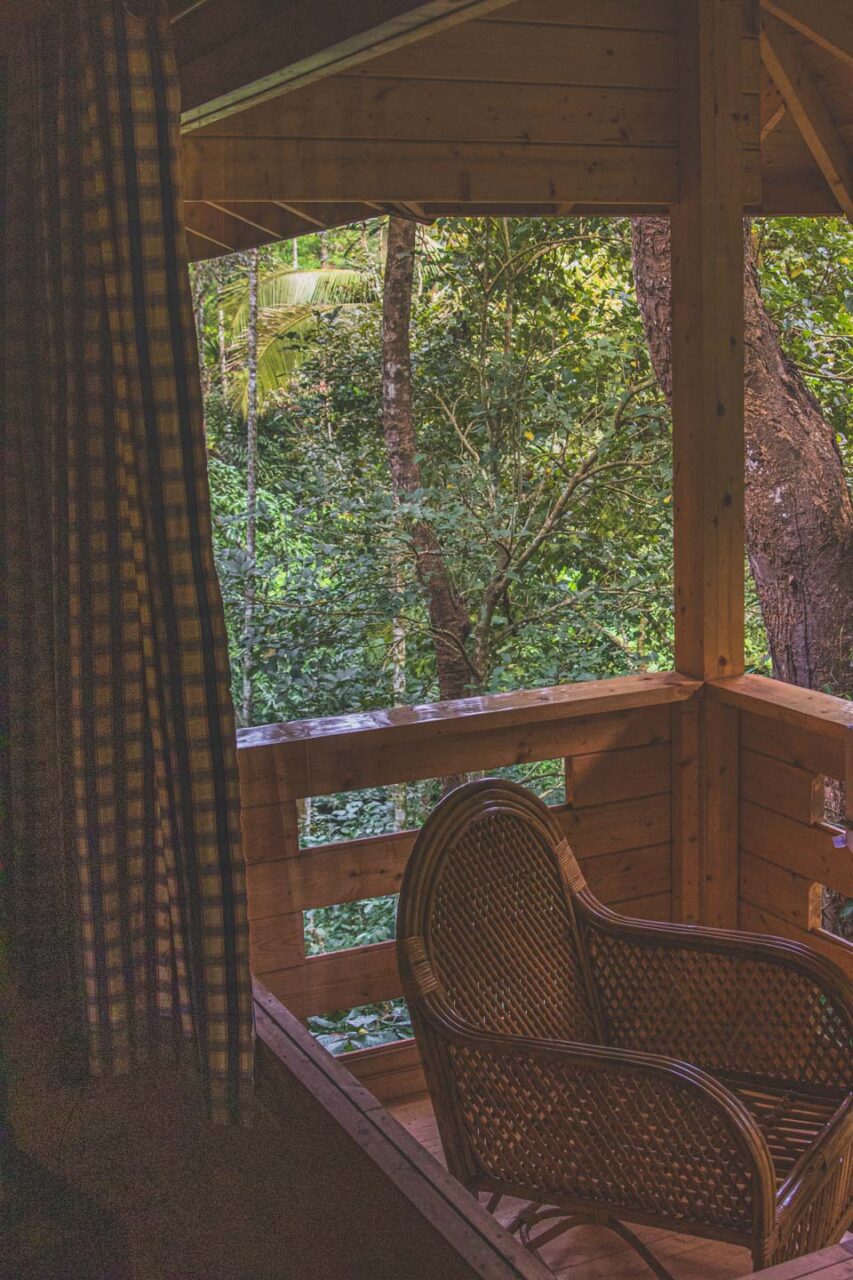 Ginger tea, silence and fog - healing began here.