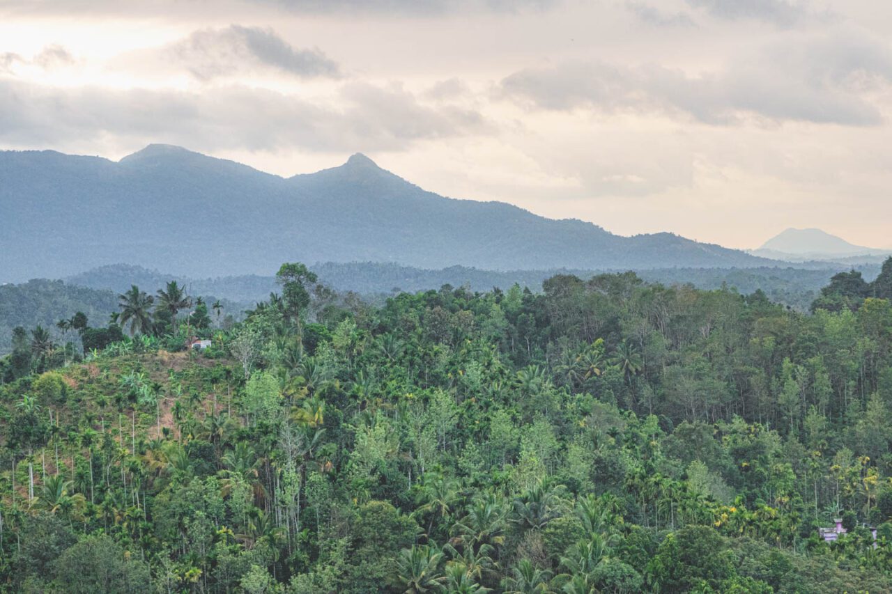Panoramic view of green hills covered with tropical jungle in Wayanad, Kerala, with soft morning light and layers of misty mountains in the background.