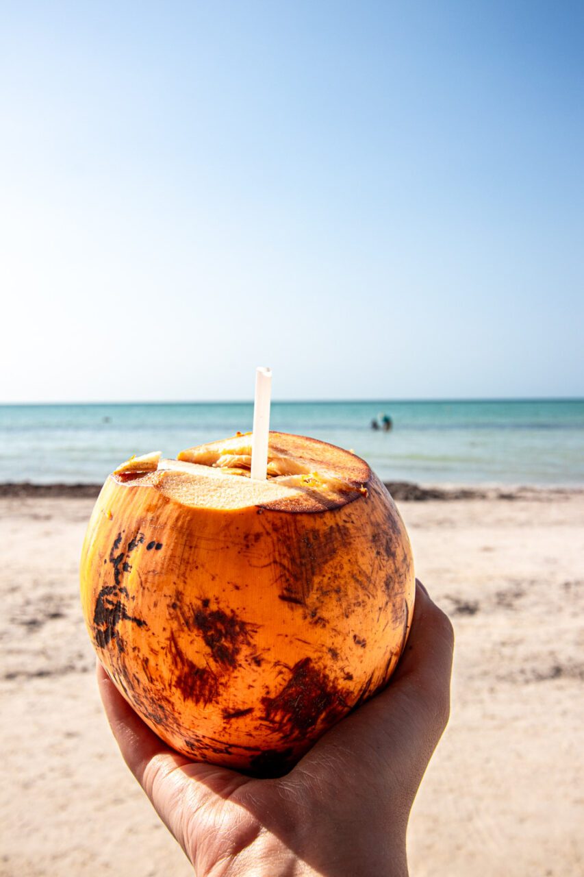 Ręka trzymająca świeżego kokosa na tle tropikalnej plaży i turkusowego morza na Isla Holbox – poranny rytuał slow travel.