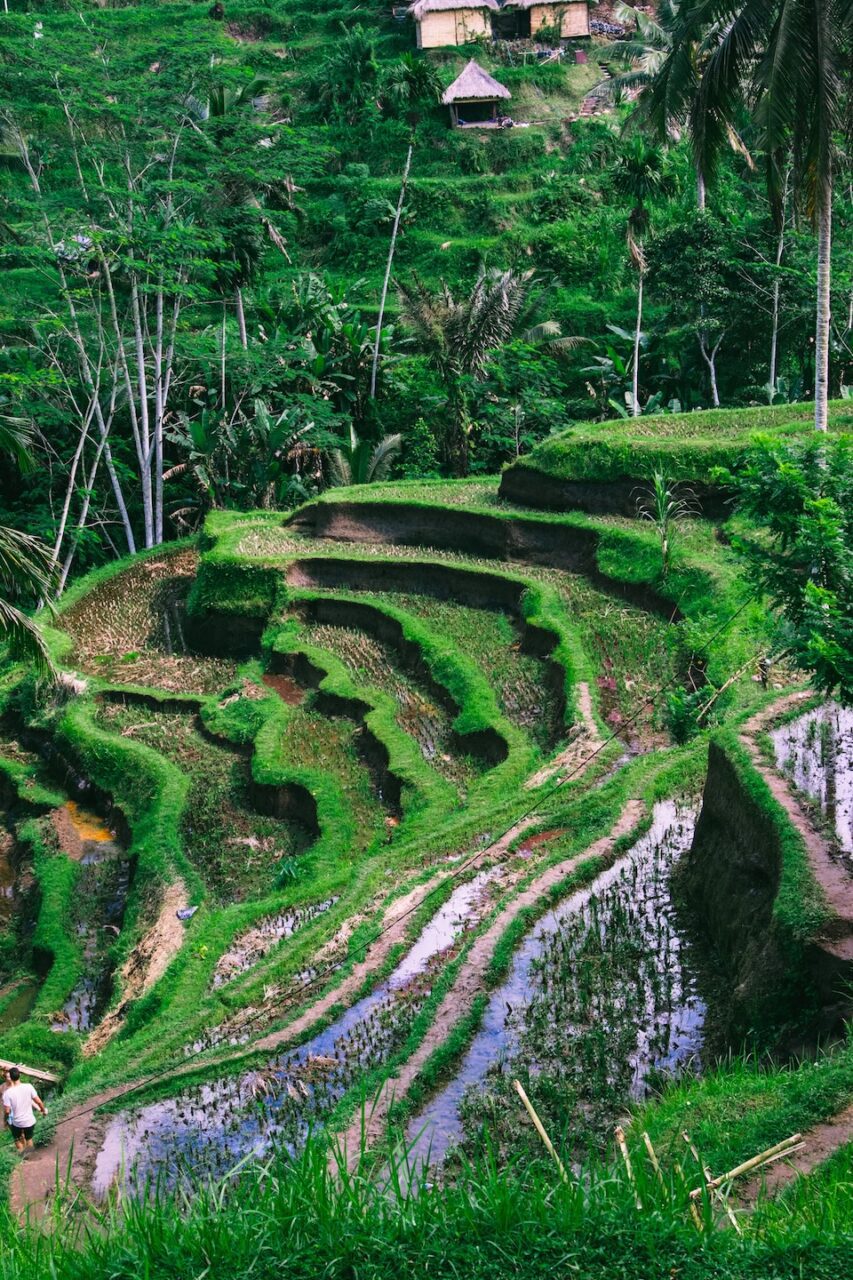 Jak poruszać się po Ubud?