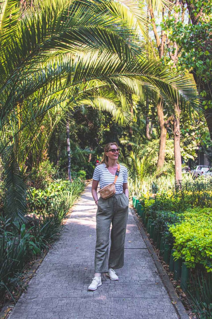 Walking through a green park in Mexico City, calm everyday life while traveling