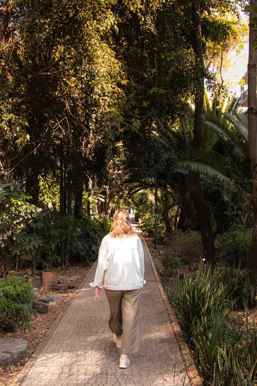 A stroll along a tree-lined path in Mexico City, a peaceful moment to end the trip.