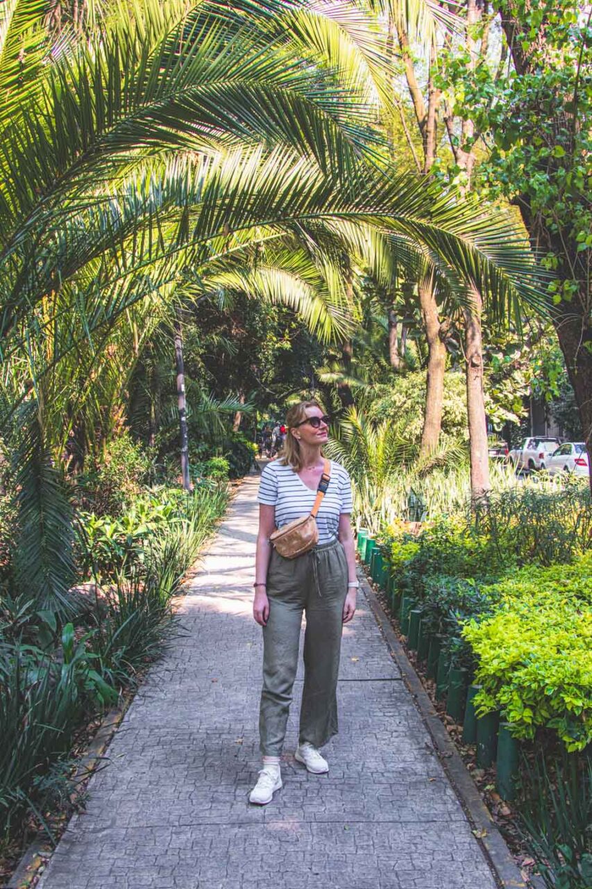 A walk through the Condesa district in Mexico City, a green avenue lined with palm trees and a sidewalk, a peaceful afternoon in the city.