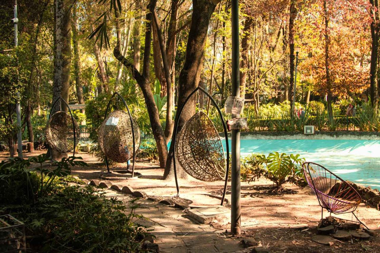 Parque México w dzielnicy Condesa w Mexico City, parkowe alejki, drzewa i wiszące fotele, spokojne popołudnie spędzane na obserwowaniu codziennego życia