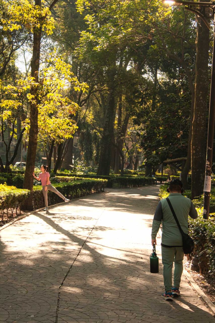 A walk in a park in Mexico City, people walking along a path during the day, a green urban space, a peaceful and safe neighborhood.