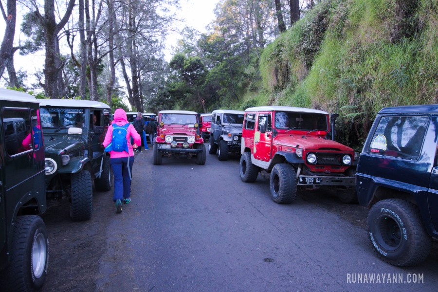 Jeeps to Bromo volcano, Java, Indonesia