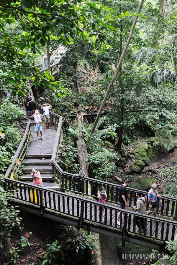 Monkey Forest, Ubud, Bali