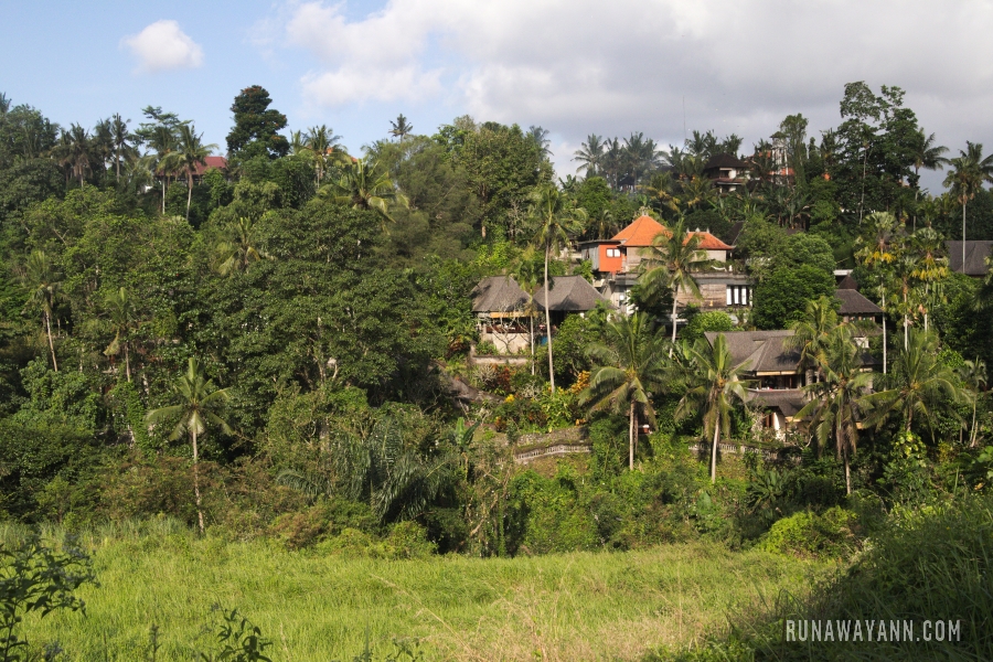 Campuhan Ridge Walk, Ubud, Bali