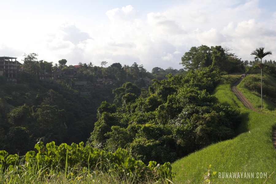 A walk along the scenic Campuhan Ridge Trail is the perfect way to escape the hustle and bustle of the city