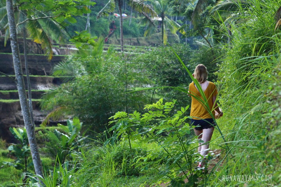 Tegalalang rice paddies, Bali
