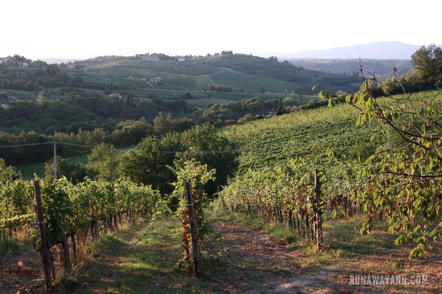 Guide to San Gimignano