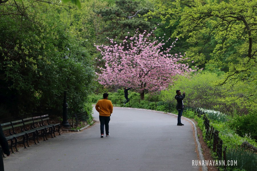 Central Park, Nowy Jork, USA