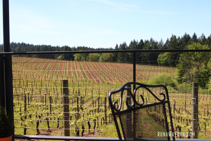 Trisaetum Winery, Willamette Valley, Oregon, USA