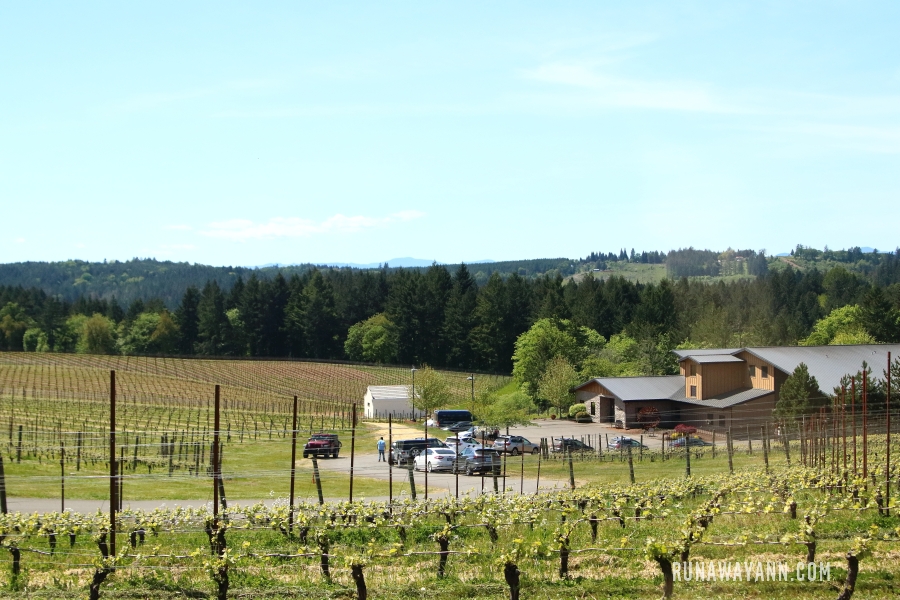 Trisaetum Winery, Dolina Willamette, Oregon, USA