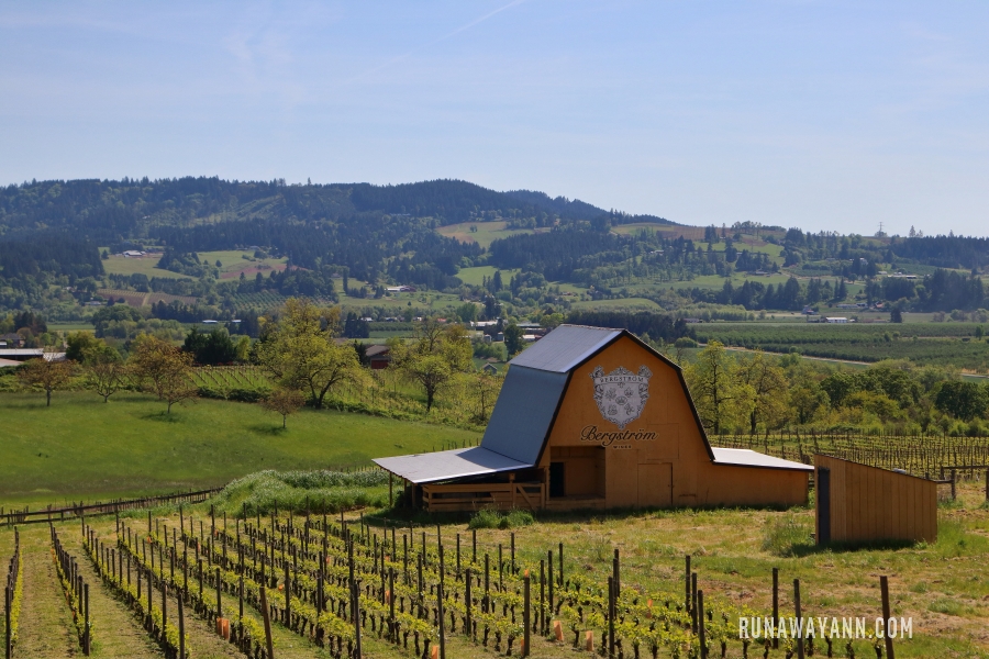 Oregon's Willamette Valley is one of our recommended off-the-beaten-path destinations in the United States