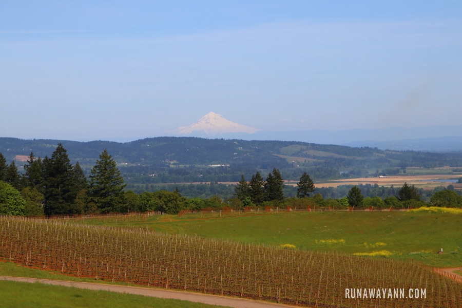 Domaine Drouhin, Dolina Willamette, Oregon, USA