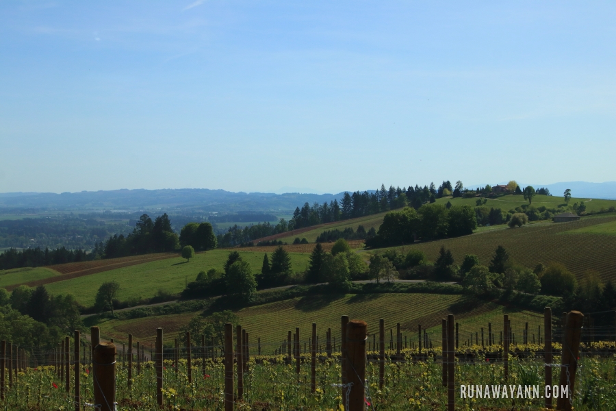 Domaine Serene Winery, Dolina Willamette, Oregon, USA