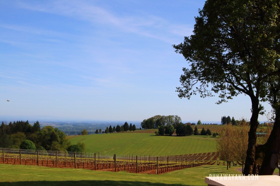 Domaine Serene Winery, Dolina Willamette, Oregon, USA