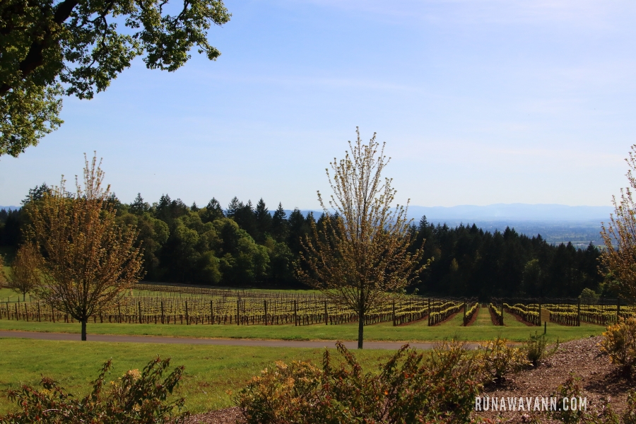 Domaine Serene Winery, Willamette Valley, Oregon, USA