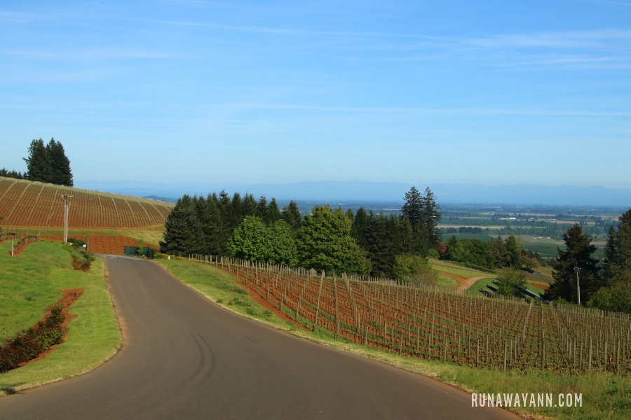 Domaine Serene Winery, Dolina Willamette, Oregon, USA