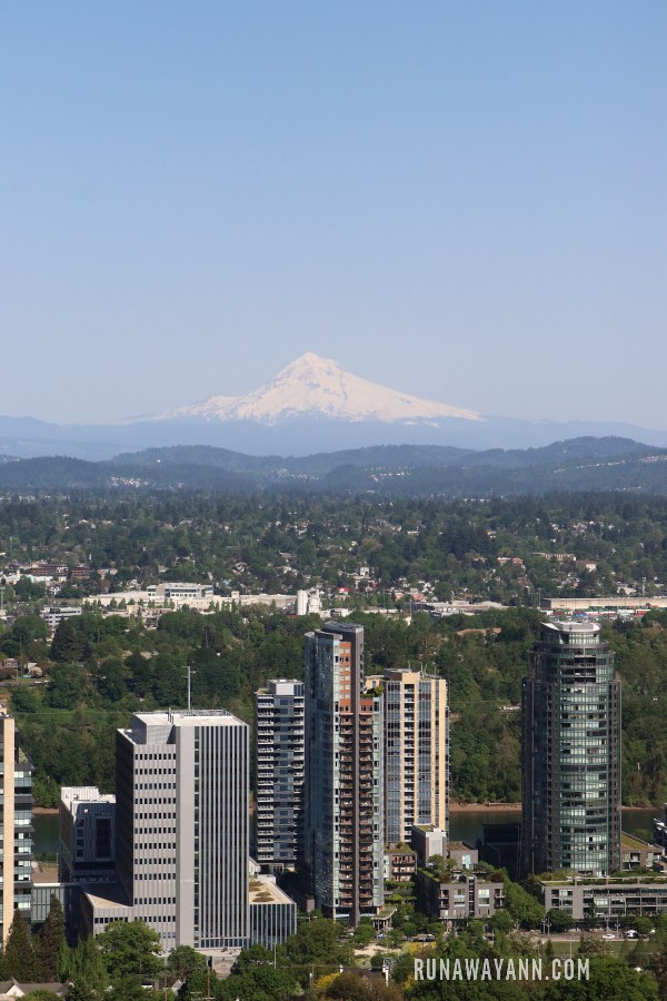 Widok z Portland Aerial Tram, Oregon, US