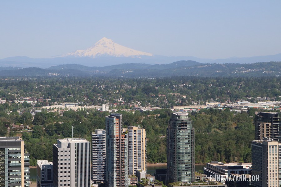 View from Portland Aerial Tram, Oregon, US