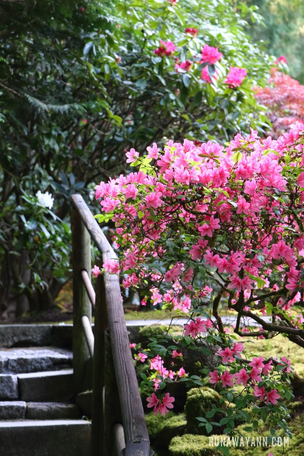 Portland Japanese Garden, Portland, Oregon, USA