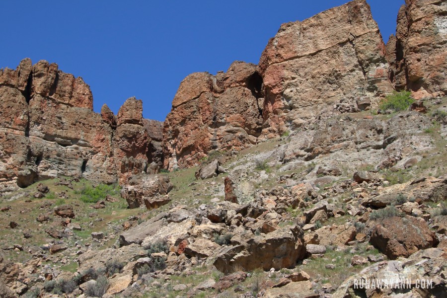 Clarno Unit, Oregon, USA